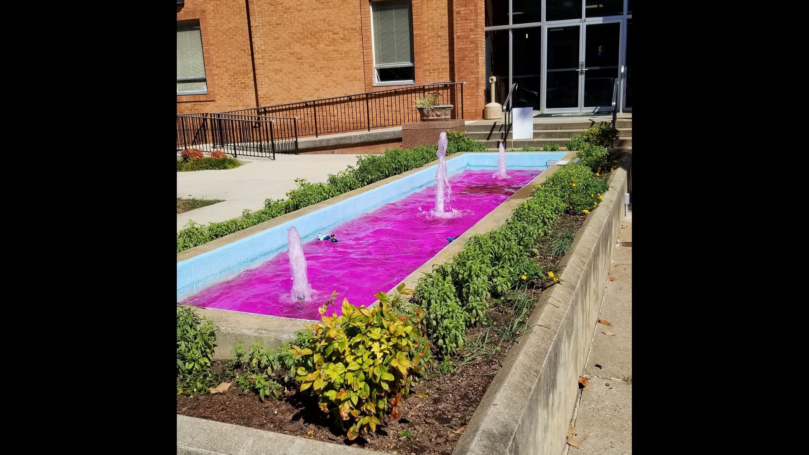 Breast Cancer Awareness - Oct 2019