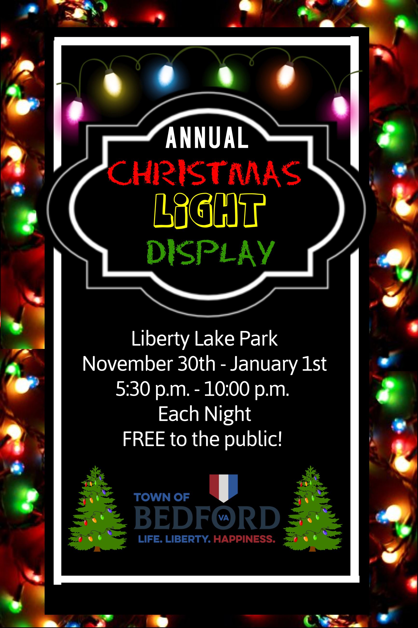 2019 Christmas Light Display