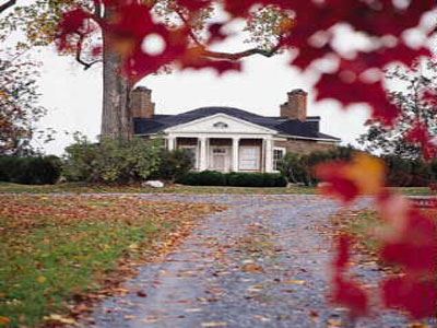 Fall Leaves Framing View of Building